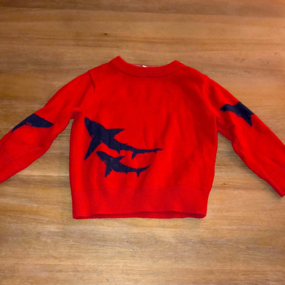 Baby Gap Sweater